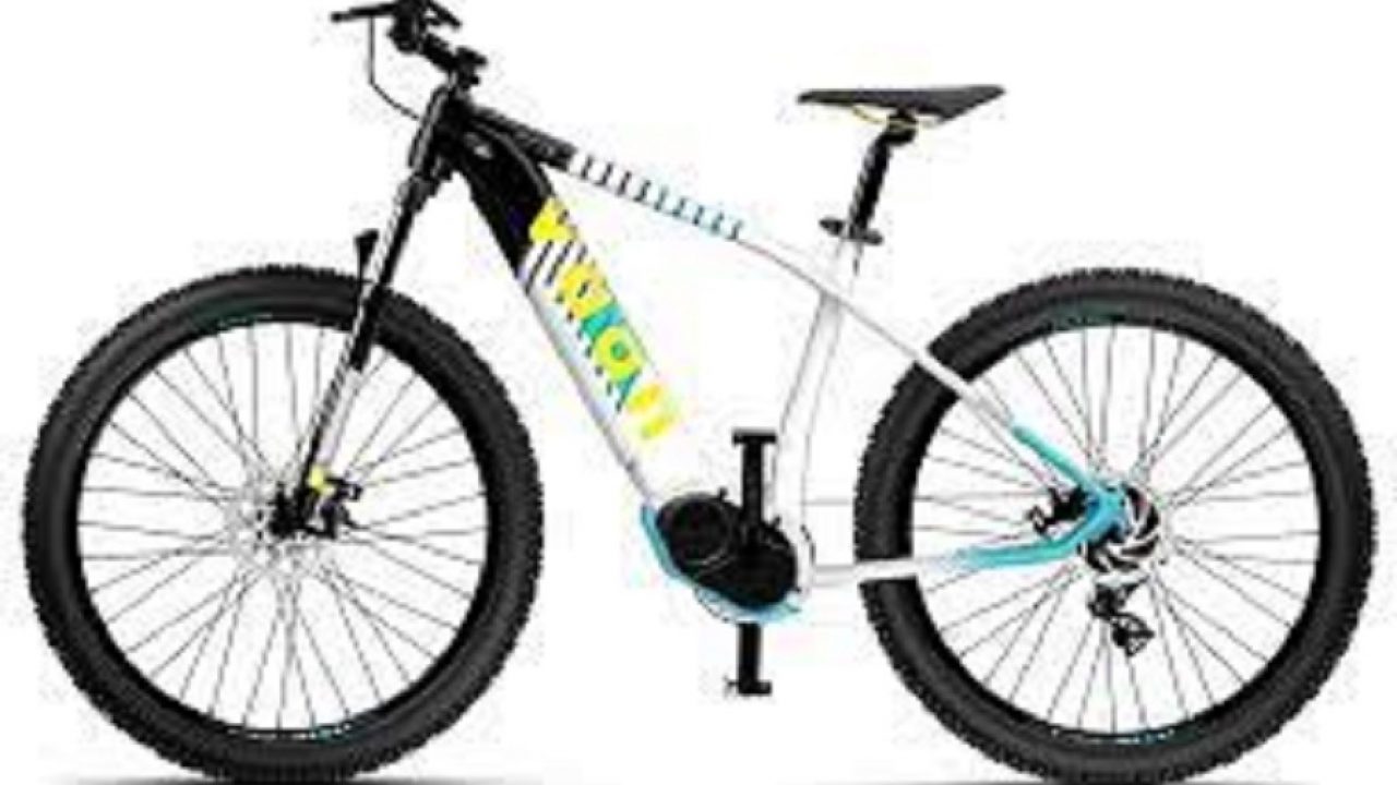 vaan electric cycle